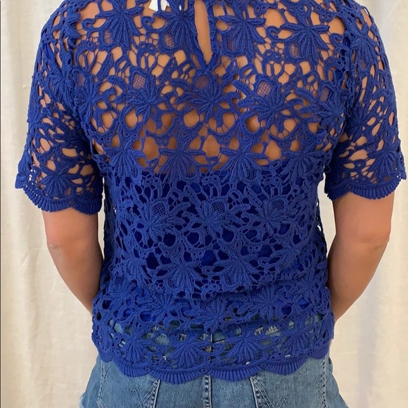 Velvet by graham and Spencer blue lace top - Picture 4 of 7